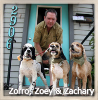 Zorro, Zoey & Friend