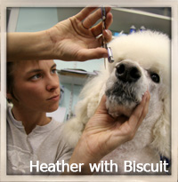 Heather with Biscuit